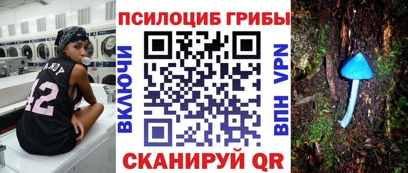 Галлюциногенные грибы Psilocybe  Комсомольск 